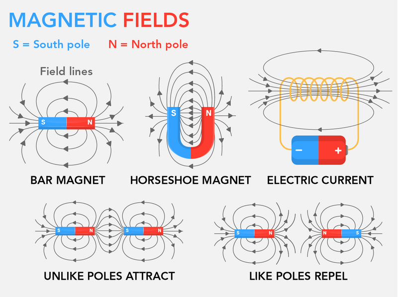 Shown are five colour illustrations of magnetic fields around different types of magnets.
