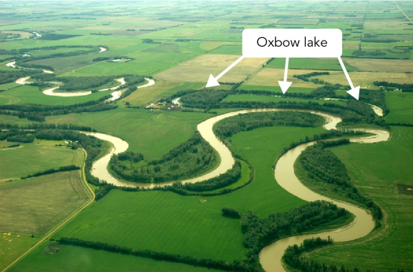 Shown is an aerial photograph of a long, curved lake next to a river.