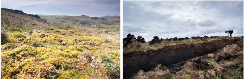 Shown are two side-by-side photographs of peatlands.