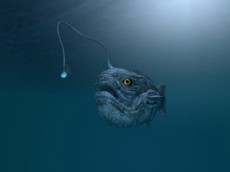 Artist’s illustration of an anglerfish 