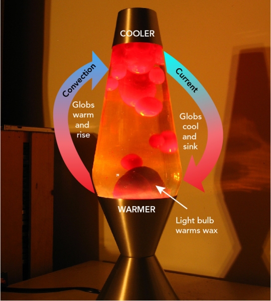 Telegraf Evolve Beloved Lava Lamps | Let's Talk Science