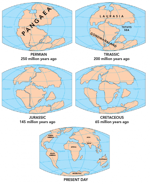 Movement of tectonic plates