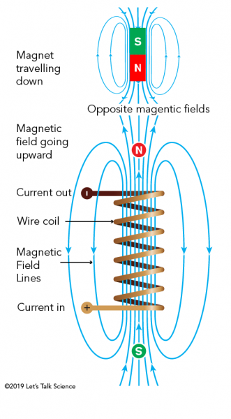 The induced magnetic field in the coil opposes the magnetic field of the magnet, hence slowing down the magnet