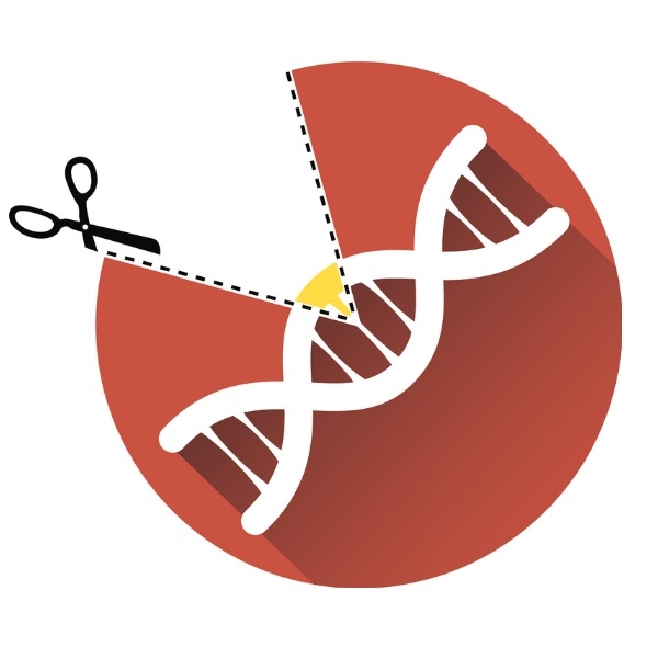 An artist’s interpretation of gene editing technology