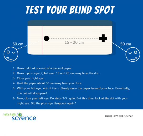 Test your blind spot