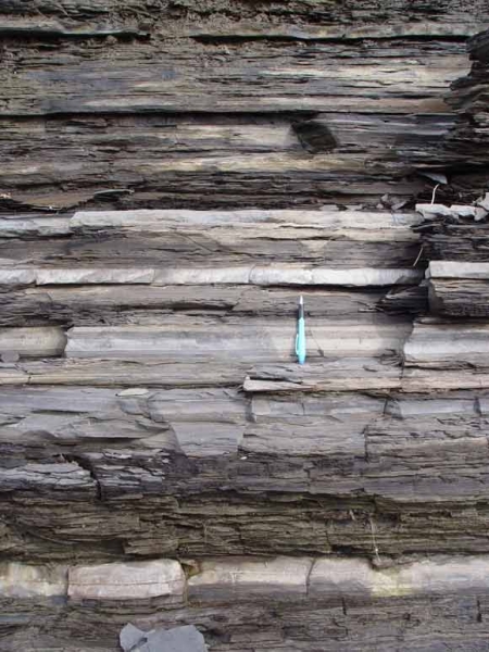 Utica Shale near the town of Donnaconna, Quebec. The darker layers are shale and the lighter layers are limestone. A writing pen is shown for scale