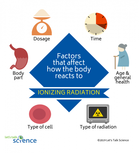 The factors that affect how the human body reacts to ionizing radiation