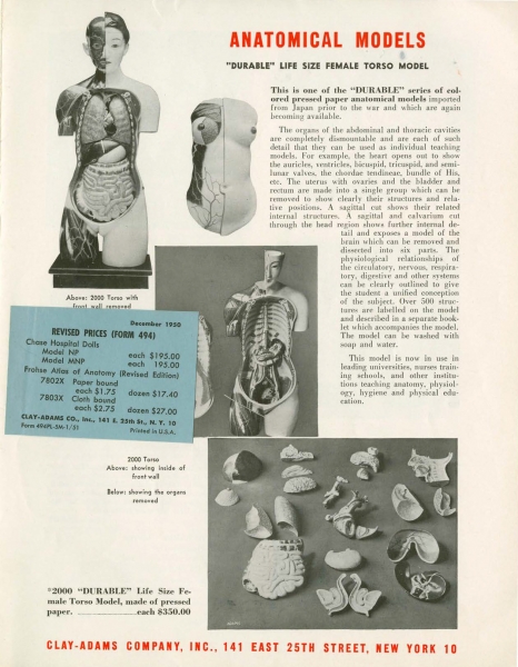 Page from the Clay-Adam company catalogue which shows the full anatomical model for sale