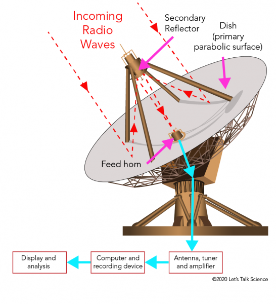 Zeemeeuw ik ben slaperig terugtrekken Radio Astronomy | Let's Talk Science