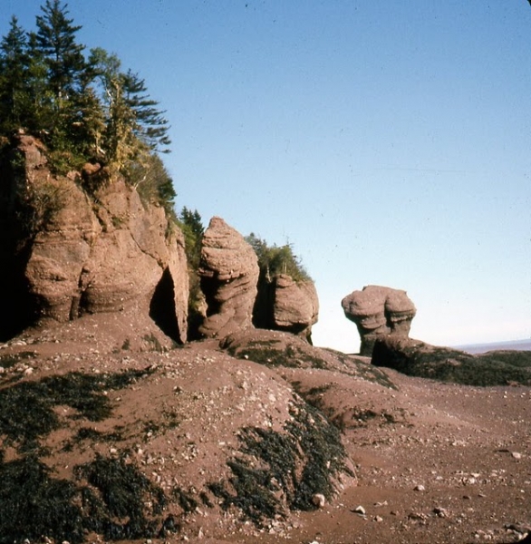 Sedimentary rock formations on the Bay of Fundy