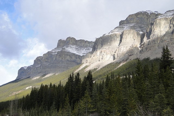 The Rocky Mountains in Canada are mostly made up of metamorphic rock covered by a thin layer of sedimentary rock 