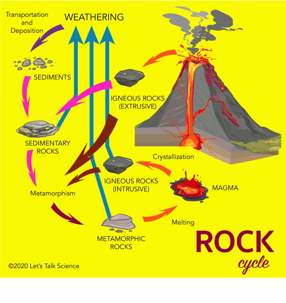 The rock cycle 