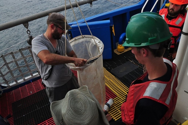 US Environmental Protection Agency staff preparing a plankton net 