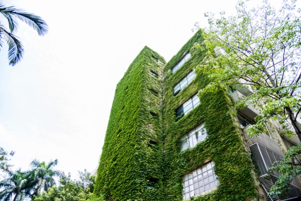 Green facade on an apartment building 