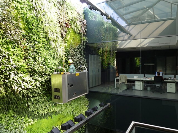 Maintenance being done on a green wall in Spain