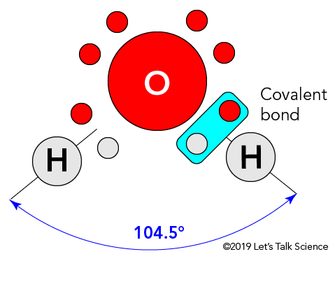 Water molecule showing the sharing of electrons forming covalent bonds 