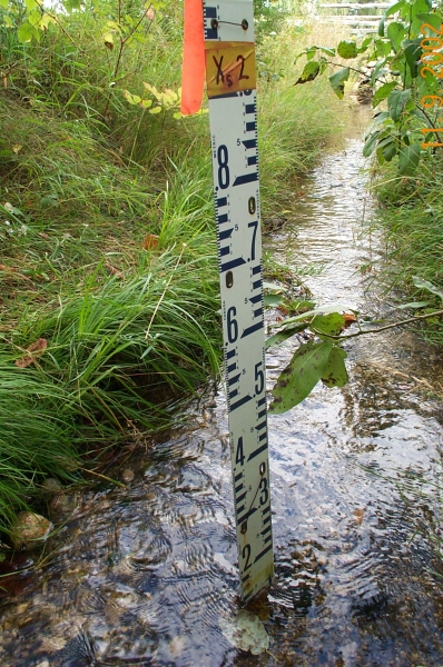 Stream gauge in a small creek