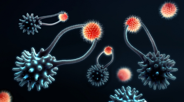 Artist’s illustration of Killer T cells on the attack 
