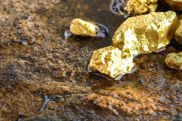 Shown is a colour photograph of six bright gold pieces sitting on brown rock.