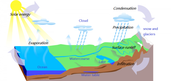 A diagram of the water cycle