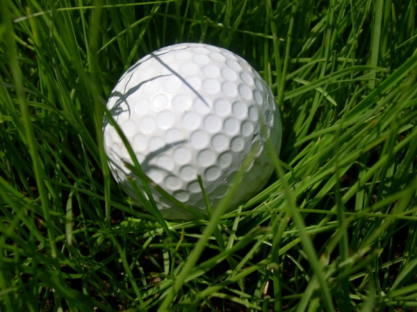 Golf Ball In Grass
