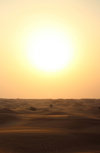 A desert scene with sun beating down