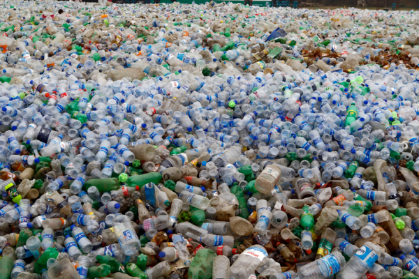 Shown is a colour photograph of a vast pile of plastic drink bottles.