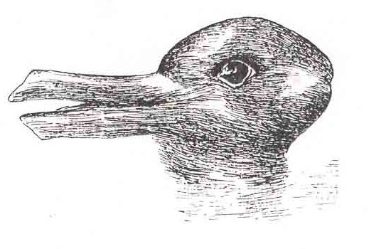 Shown is a black and white line drawing of an animal’s head
